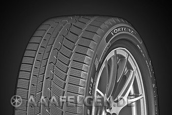 Fortune FSR901 225/35 R19 88W XL